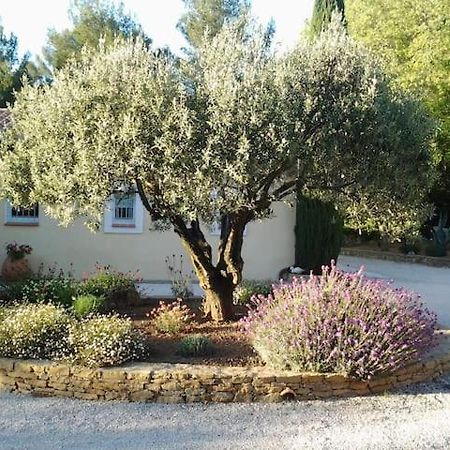 Вілла Maison Privee Au Calme Dans Mas Provencal Санарі-сюр-Мер Екстер'єр фото