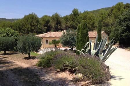 Вілла Maison Privee Au Calme Dans Mas Provencal Санарі-сюр-Мер Екстер'єр фото