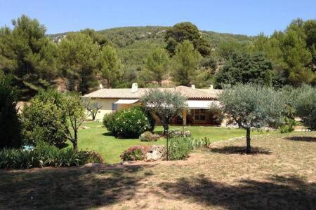 Вілла Maison Privee Au Calme Dans Mas Provencal Санарі-сюр-Мер Екстер'єр фото